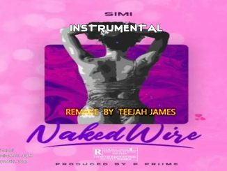 FREE BEAT: Simi - Naked Wire