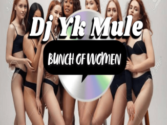 BEAT: DJ YK - Bunch of Women